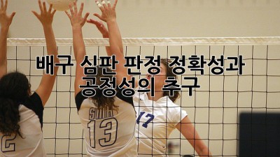 배구 심판 판정: 정확성과 공정성의 추구
