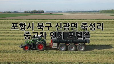 포항시 북구 신광면 죽성리 중고차 인기 모델은?