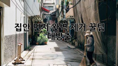 💨 집안 먼지 완벽 제거 꿀팁 대방출! ✨