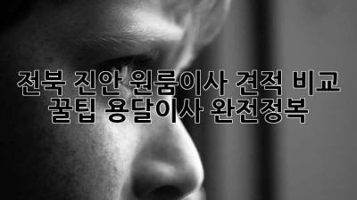 전북 진안 원룸이사 견적 비교 꿀팁🍯 용달이사 완전정복!
