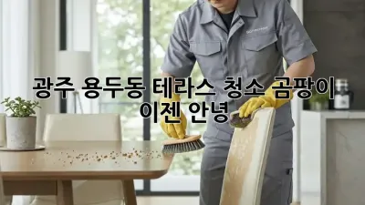 광주 용두동 테라스 청소, 곰팡이 이젠 안녕! 👋